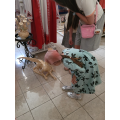 Маленькие гости и большое творчество