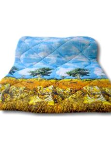 blankets-pillows15