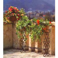 flowerport17