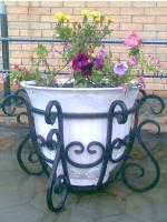 flowerport23
