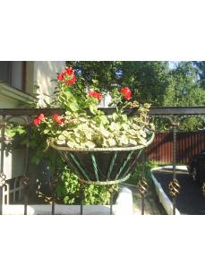 flowerport29