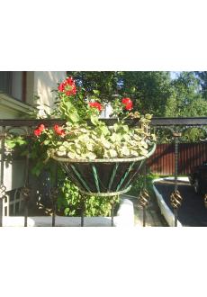 flowerport29