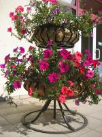flowerport7