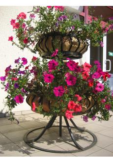 flowerport7