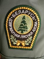 Шеврон Государственной лесной охраны. Форменный повседневный костюм работников лесного хозяйства